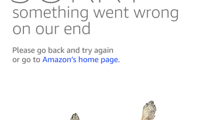 Amazon Prime homepage crash